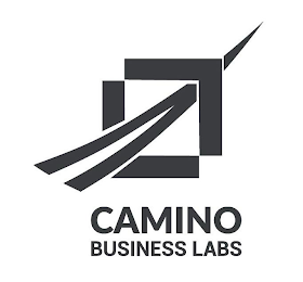 CAMINO BUSINESS LABS logo
