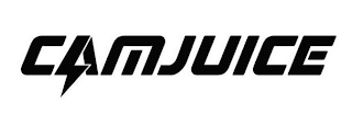 CAMJUICE logo