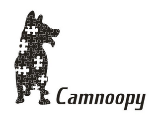 CAMNOOPY logo