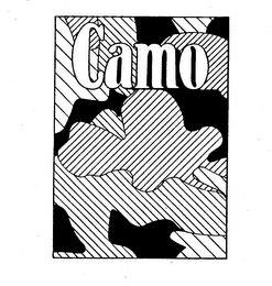 CAMO logo