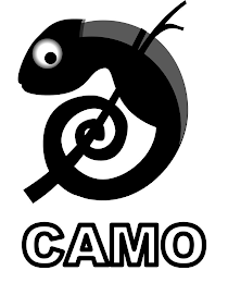 CAMO logo