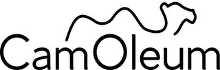 CAMOLEUM logo
