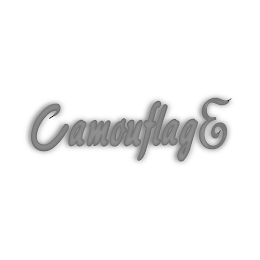 CAMOUFLAGE logo