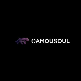 CAMOUSOUL logo