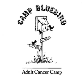 CAMP BLUEBIRD ADULT CANCER CAMP TRAILS LAKE logo