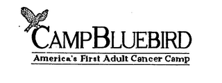 CAMP BLUEBIRD AMERICA'S FIRST ADULT CANCER CAMP logo