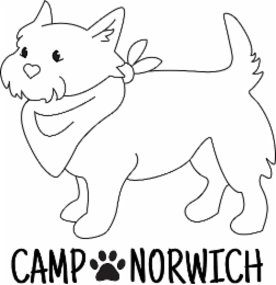 CAMP NORWICH logo