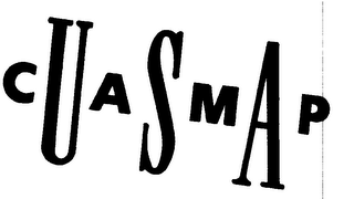 CAMP USA logo
