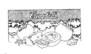CAMPBELL'S logo