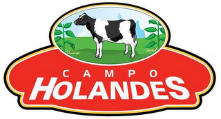 CAMPO HOLANDES