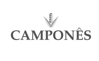 CAMPONÊS logo
