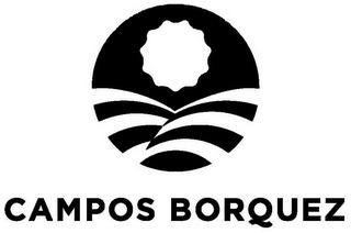 CAMPOS BORQUEZ logo
