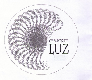 CAMPOS DE LUZ logo