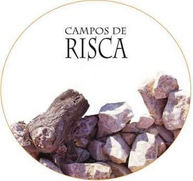CAMPOS DE RISCA logo