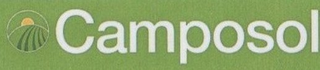 CAMPOSOL logo