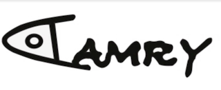 CAMRY logo