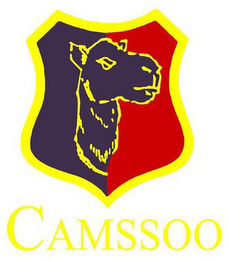 CAMSSOO logo