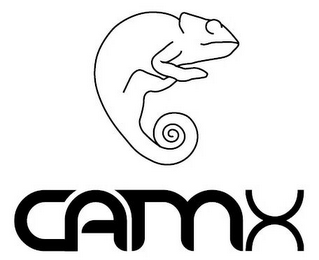 CAMX