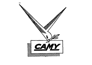 CAMY logo