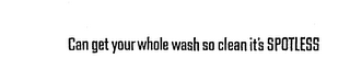 CAN GET YOUR WHOLE WASH SO CLEAN IT'S SPOTLESS logo