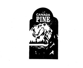 CANADA PINE logo