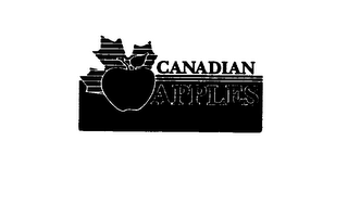 CANADIAN APPLES logo