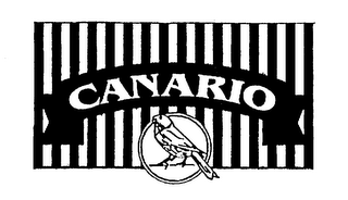CANARIO logo