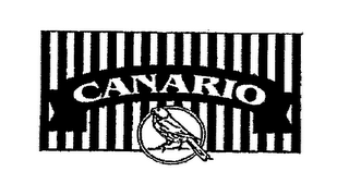 CANARIO logo