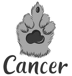 CANCER logo