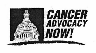 CANCER ADVOCACY NOW! logo