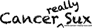 CANCER REALLY SUX WWW.CANCER-REALLY-SUX.COM logo