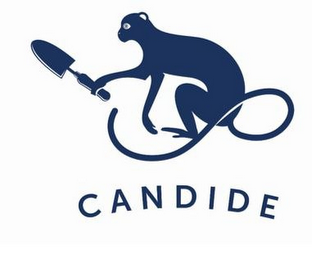 CANDIDE logo