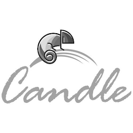 CANDLE logo