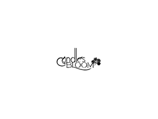 CANDLES IN BLOOM logo