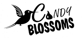 CANDY BLOSSOMS logo