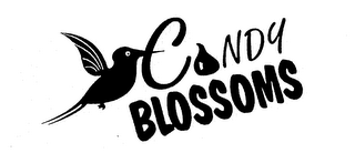CANDY BLOSSOMS logo