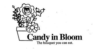 CANDY IN BLOOM THE BOUQUET YOU CAN EAT. logo