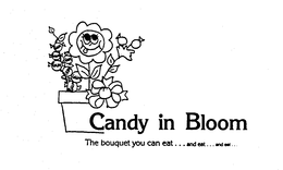 CANDY IN BLOOM THE BOUQUET YOU CAN EAT...AND EAT...AND EAT... logo