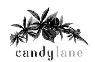 CANDY LANE logo