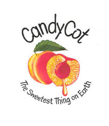 CANDYCOT THE SWEETEST THING ON EARTH logo