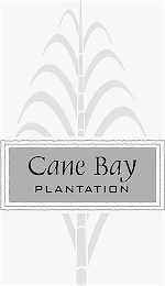 CANE BAY PLANTATION logo