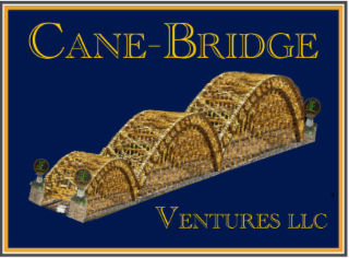 CANE-BRIDGE VENTURES LLC