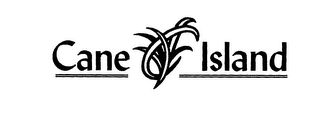 CANE ISLAND logo