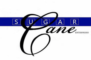 CANE SUGAR ENTERPRISES logo