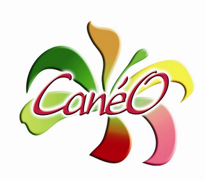 CANEO logo