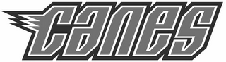 CANES logo