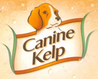 CANINE KELP logo