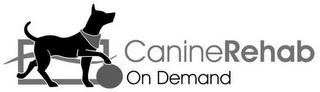 CANINE REHAB ON DEMAND logo