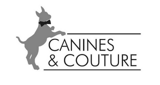 CANINES & COUTURE logo