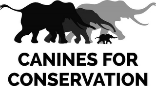 CANINES FOR CONSERVATION logo